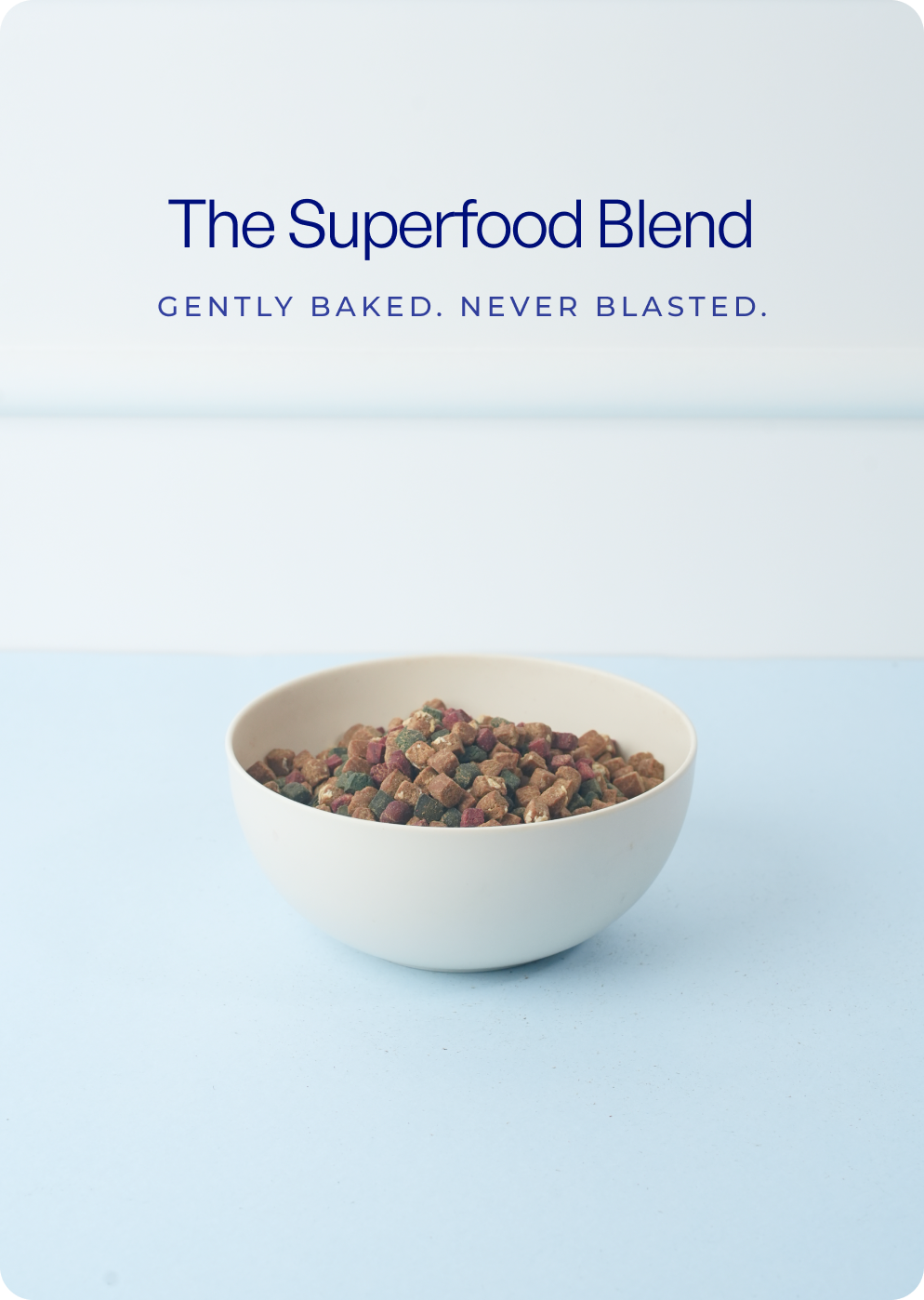 Bowl of TENDS The Superfood Blend dry dog food for small dogs on a clean surface