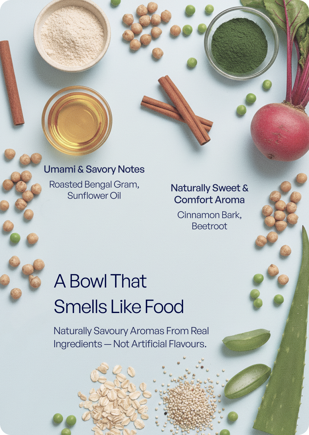 Ingredients used in TENDS The Superfood Blend dry dog food arranged to show natural aroma and flavour components