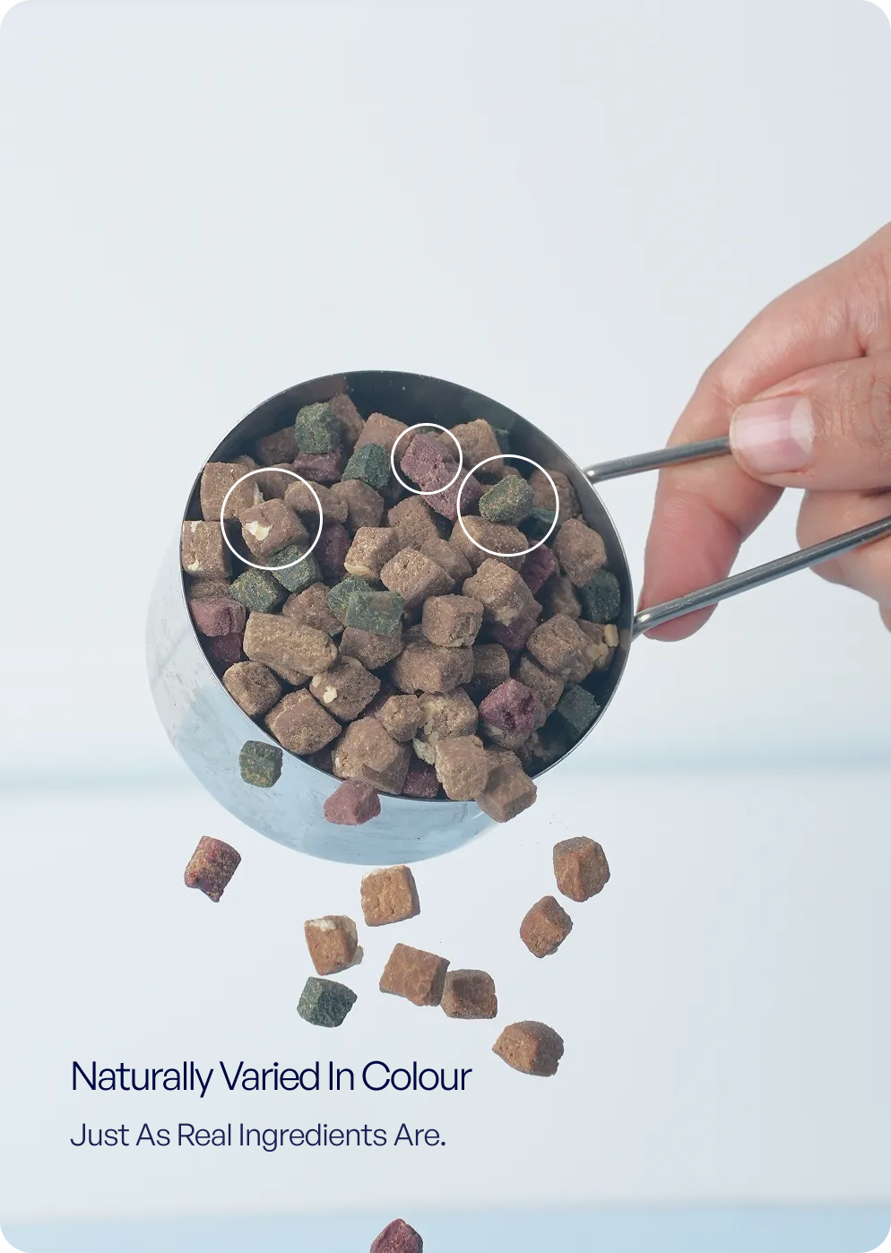 Close-up of TENDS The Superfood Blend dry dog food showing varied kibble colours in a scoop