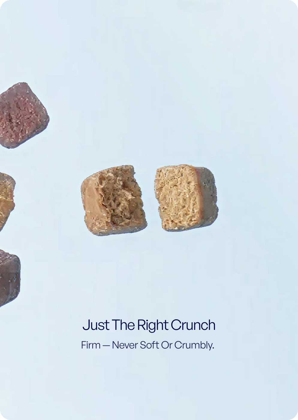 Close-up of TENDS The Superfood Blend dry dog food pieces broken open to show the centre