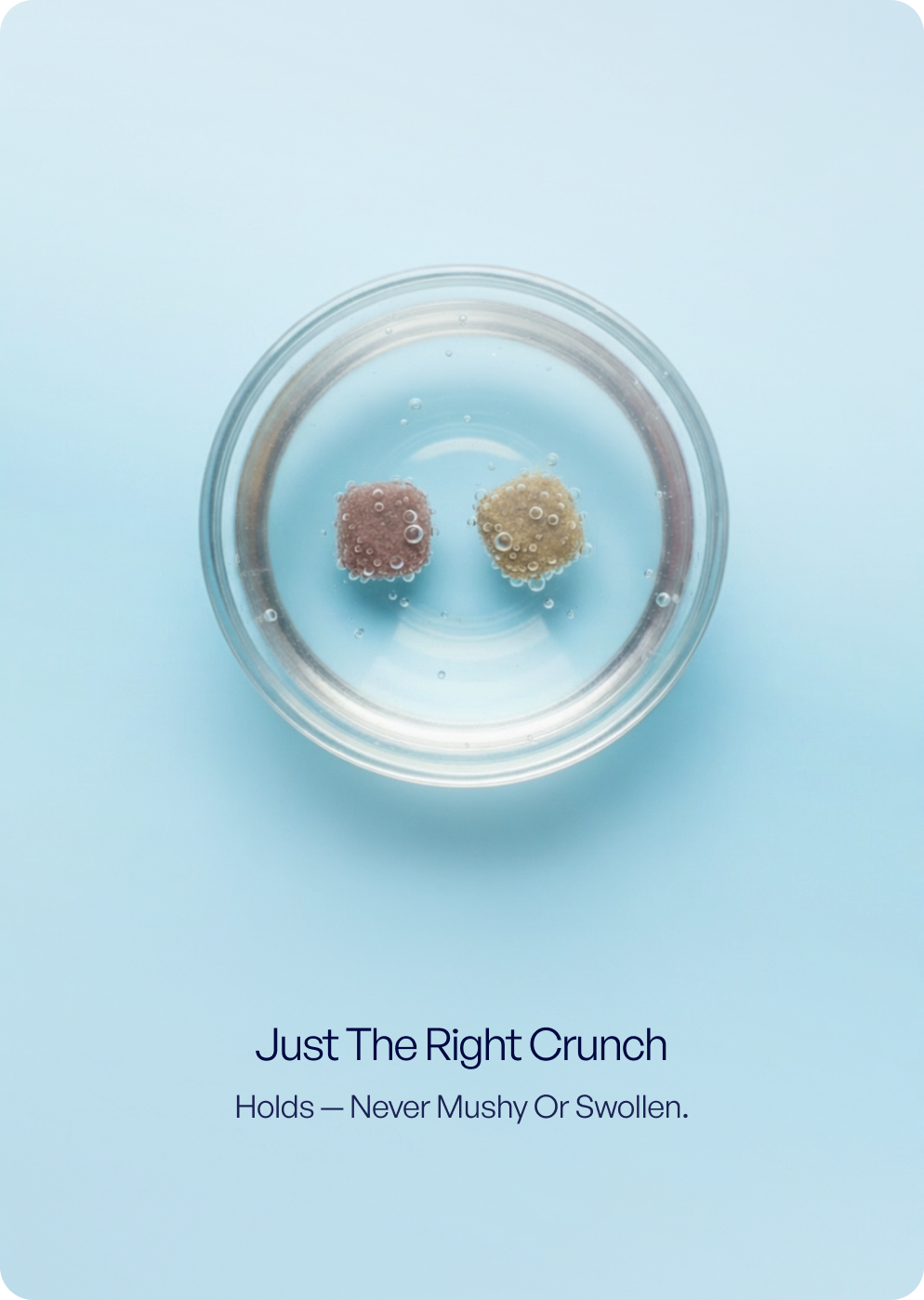 TENDS The Superfood Blend dry dog food pieces in water showing their shape in a glass bowl