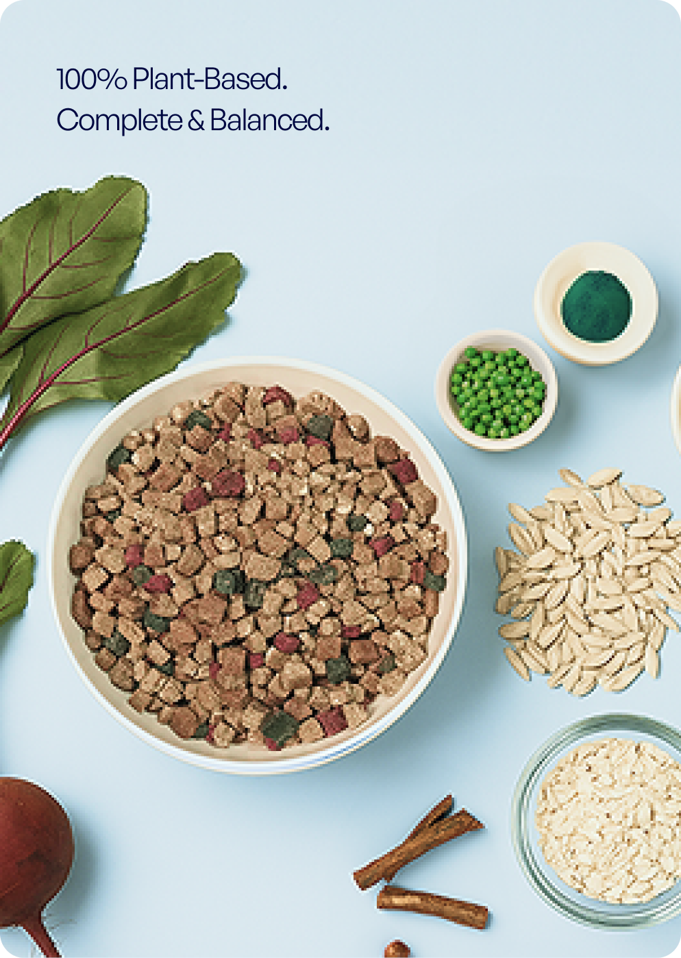 Bowl of TENDS The Superfood Blend dry dog food with surrounding plant-based ingredients