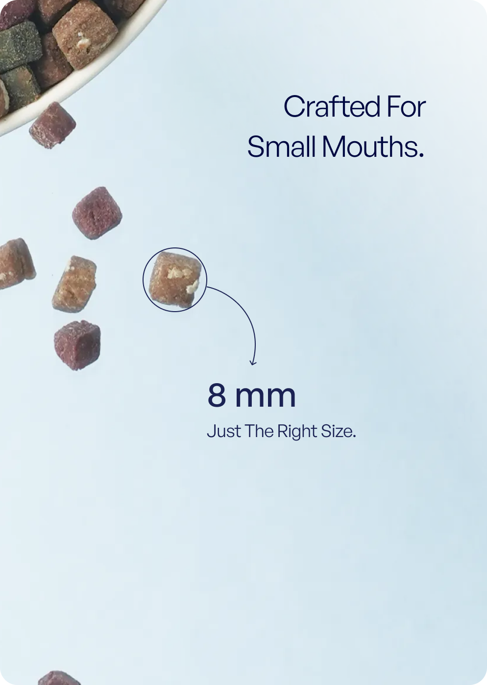 Close-up of TENDS The Superfood Blend dry dog food showing 8 mm kibble size for small mouths