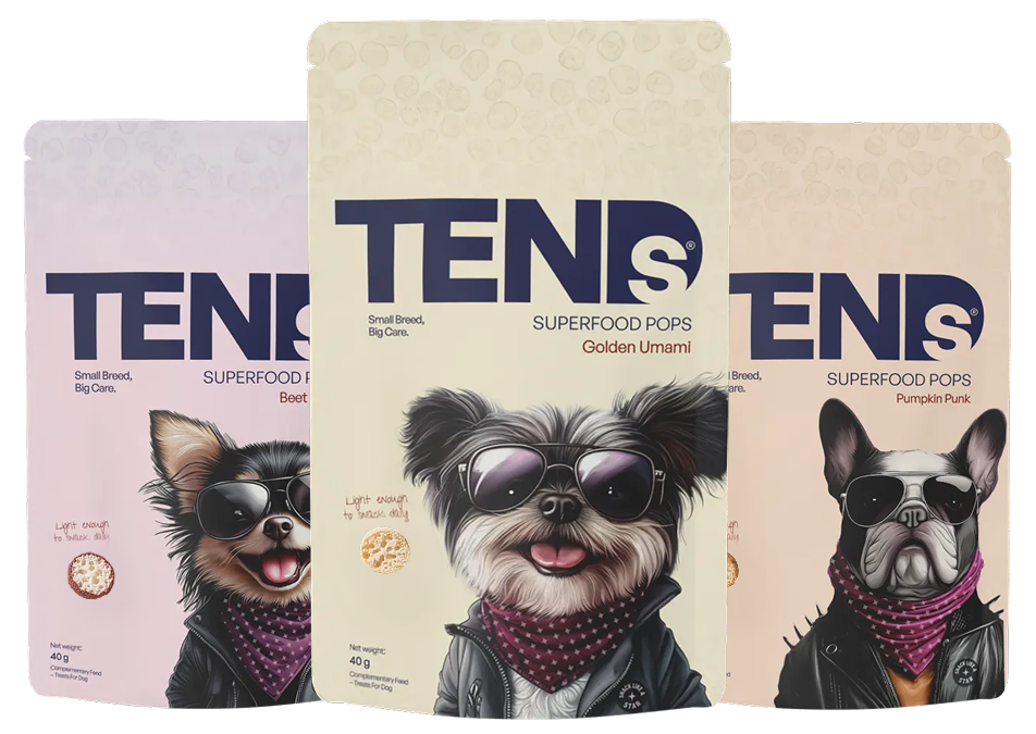 Pack of 3