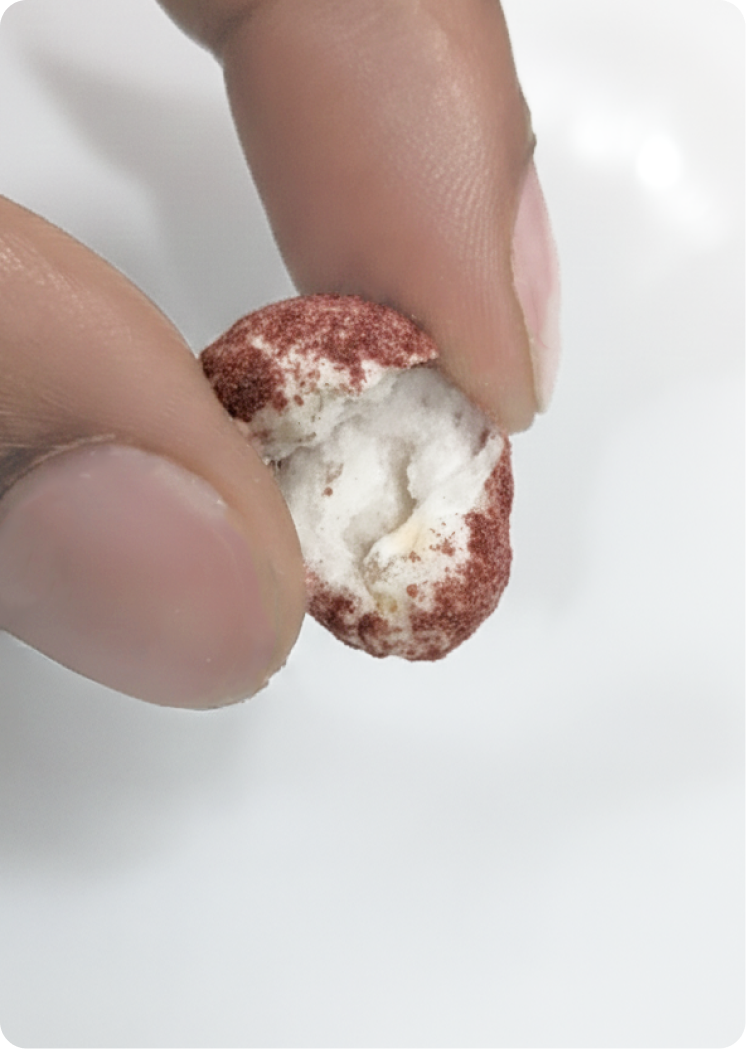 Close-up of fingers holding a broken air-popped lotus seed snack, revealing its light, airy interior and red coating.