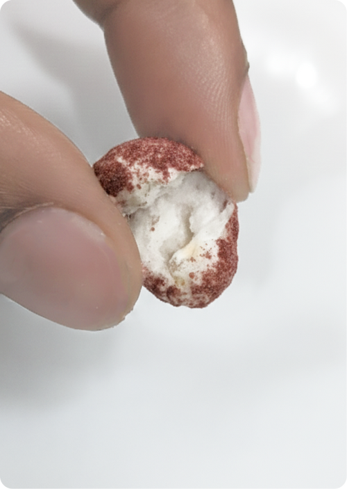 Close-up of fingers holding a broken air-popped lotus seed snack, revealing its light, airy interior and red coating.